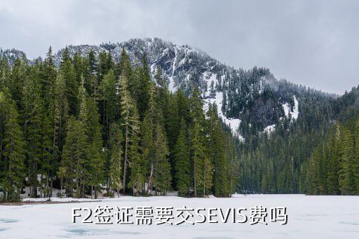 sevis費,美國國土安全部收費100美元