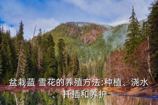 藍(lán)雪花扦插,藍(lán)色雪花怎么養(yǎng)成?