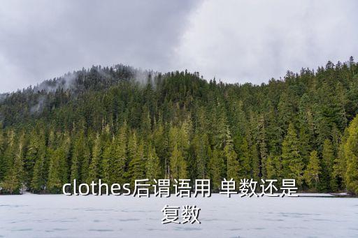 clothes是單數(shù)還是復數(shù),clothes是什么?