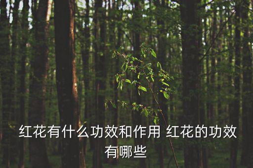 紅花的作用,紅花可治療跌打瘀血和瘀血腫脹