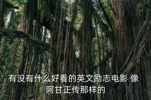 有沒有什么好看的英文勵志電影 像 阿甘正傳那樣的