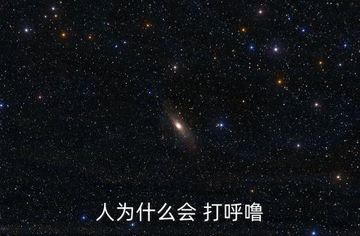 人為什么會 打呼嚕