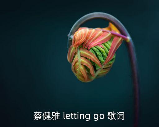 蔡健雅 letting go 歌詞