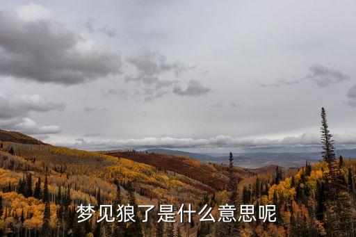 夢見狼了是什么意思呢