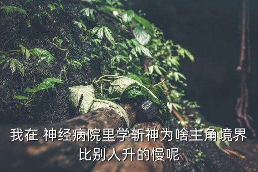 我在 神經(jīng)病院里學(xué)斬神為啥主角境界比別人升的慢呢