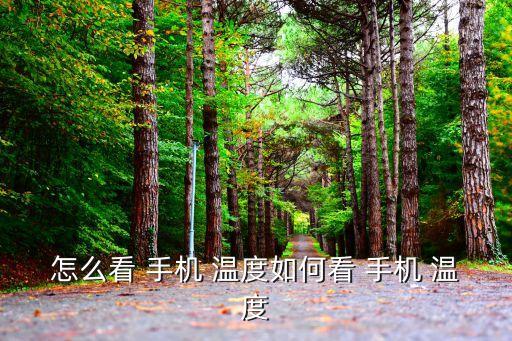 怎么看 手機 溫度如何看 手機 溫度