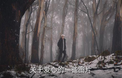 關于愛心的一些圖片