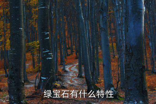 綠寶石,綠寶石和紅寶石顏色不一樣通關后闖入七個設施挑戰區