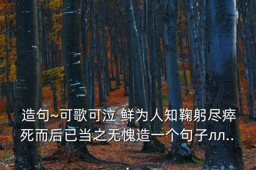  造句~可歌可泣 鮮為人知鞠躬盡瘁死而后已當(dāng)之無(wú)愧造一個(gè)句子лл...
