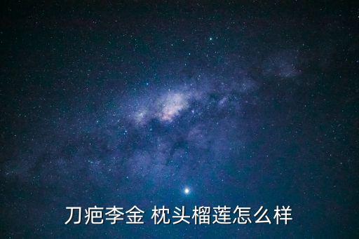 刀疤李金 枕頭榴蓮怎么樣