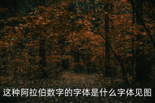 這種阿拉伯?dāng)?shù)字的字體是什么字體見圖