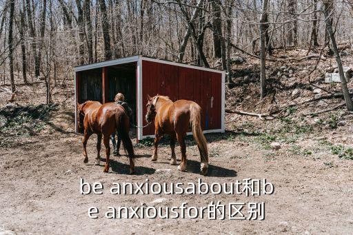 anxious是什么意思,沒必要擔(dān)心這個(gè)結(jié)果我也曾經(jīng)這樣做