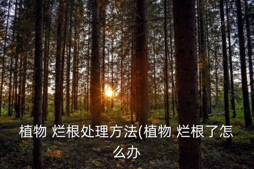 爛根,變?nèi)~木爛根怎么辦?