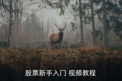 林園視頻,如何在閱讀中學(xué)習(xí)投資?