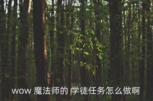 魔法師的學徒2,禁錮魔法老師的工具有什么用?