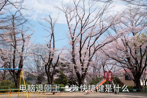 電腦撤回快捷鍵,如何使用快捷鍵返回撤銷操作?