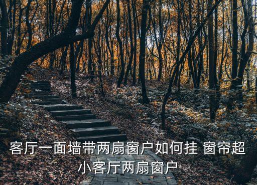 客廳一面墻帶兩扇窗戶如何掛 窗簾超小客廳兩扇窗戶