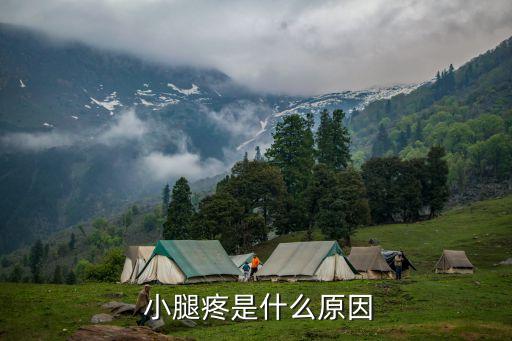 小腿疼痛是什么原因引起的,小腿肚子疼痛可能是腳部問(wèn)題引起的