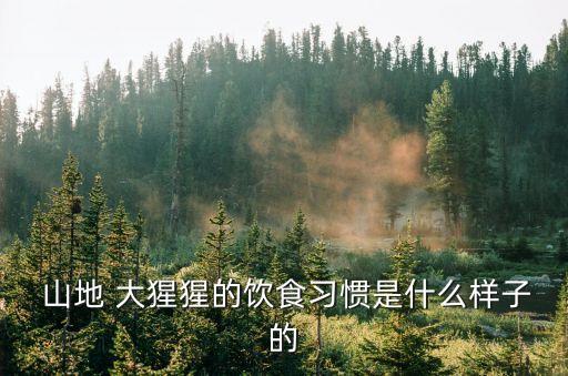 山地大猩猩,剛果民主共和國(guó)東部有大猩猩和野猴出沒(méi)