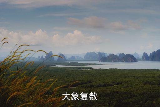 大象復數
