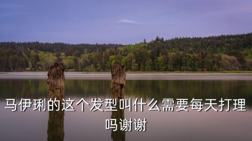 馬伊琍發型，馬伊琍的發型叫什么去理發店怎么跟發型師說