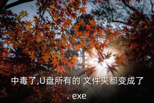 文件夾變成exe,文件夾突然變成exe病毒怎么辦?