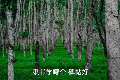 隸書碑帖,我買了曹全碑字帖無丑字新河念書寫如圖
