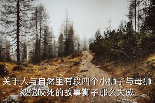 人與自然獅子，人與自然獅子與野牛中這三秒鐘發生了什么事寫下來