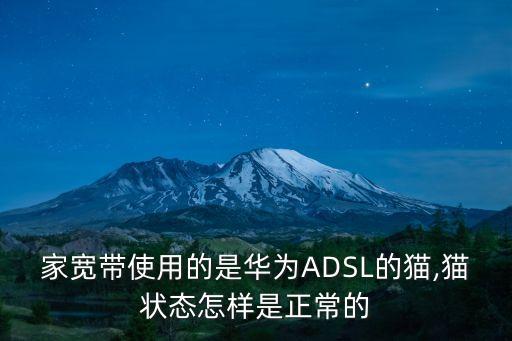 adsl貓,帶四個指示燈的貓:不聯(lián)網(wǎng)時led燈常亮