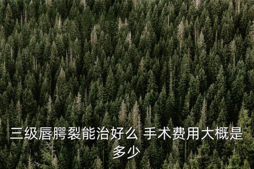 唇裂手術多少錢,兔唇修復一般需要4000多元左右
