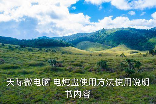 電燉盅使用方法,如何使用skycomputer天脊電燉鍋?