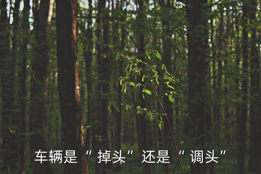 車輛是“ 掉頭”還是“ 調頭”