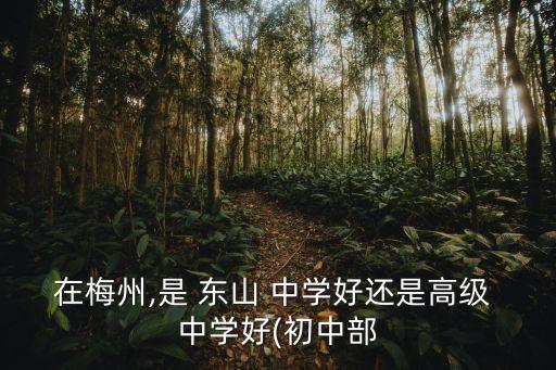 在梅州,是 東山 中學好還是高級 中學好(初中部