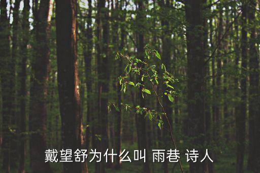 雨巷詩人是誰,少女或是真實存在的參照物