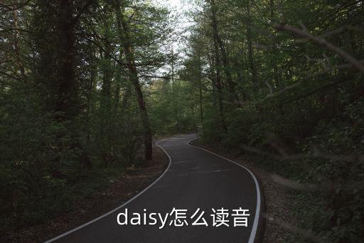  daisy怎么讀音