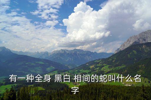黑白相間的蛇,三種蛇類在美國被人工飼養(yǎng)