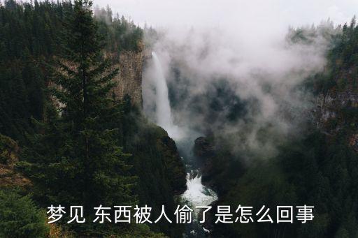  夢(mèng)見(jiàn) 東西被人偷了是怎么回事