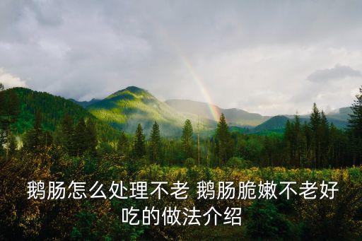 鵝腸,豬腸怎么做好吃的方法