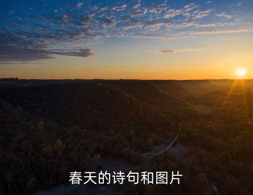 春的圖片,春天是粉紅色的梨花姐:你錯了春天當(dāng)然潔白清澈