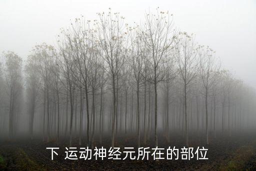 下運(yùn)動(dòng)神經(jīng)元,運(yùn)動(dòng)神經(jīng)元退化西醫(yī)對(duì)此沒(méi)有治療方法