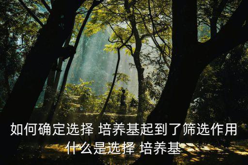 選擇培養基,選擇含纖維素培養基需考慮其他細菌生長條件