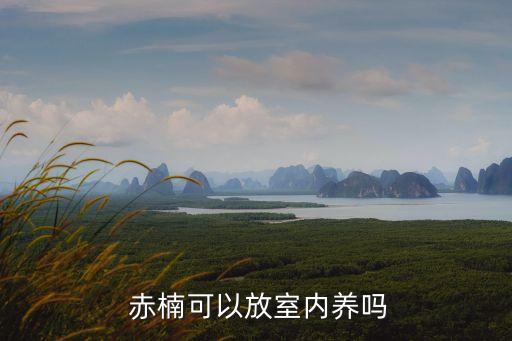 赤楠樹圖片,陽光好的時(shí)候最好不要挖紅楠!