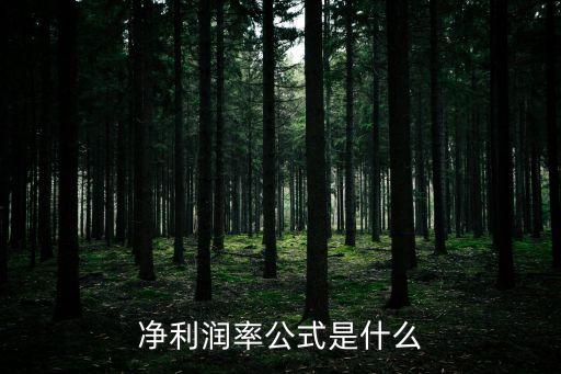凈利潤率公式是什么