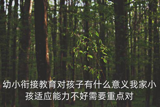 幼小銜接教育對(duì)孩子有什么意義我家小孩適應(yīng)能力不好需要重點(diǎn)對(duì)
