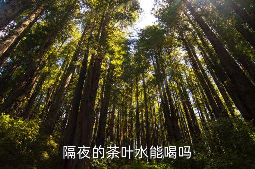過夜茶葉可以喝嗎，隔夜的茶葉水能喝嗎