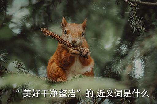 美好的近義詞,美好"of近義詞:讓人各方面都喜歡