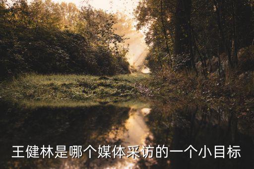 王健林的小目標，怎么理解王健林先定一個能達到的小目標 比如掙它一個億eme