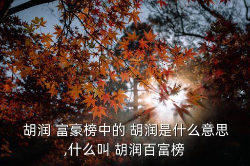 胡潤富豪榜,胡潤富豪榜:中國第一份財(cái)富排行榜出爐!