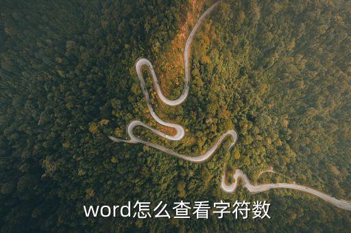 word怎么看字數,從文件中獲取文檔的詳細信息