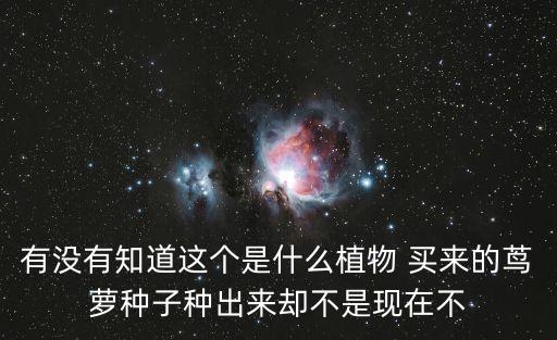 有沒有知道這個是什么植物 買來的蔦蘿種子種出來卻不是現在不